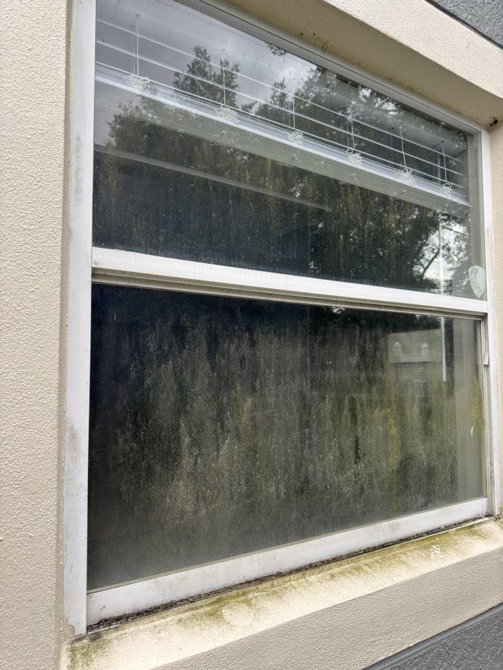 Residential window cleaning in Campbell, CA