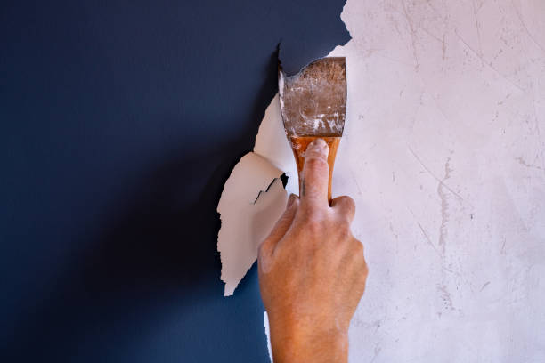 Paint and glue removal